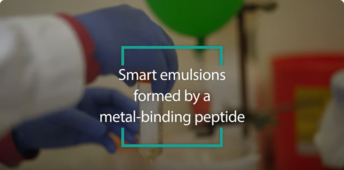 Intelligente Emulsionen durch metallbindendes Peptid | Prof. Meital Reches