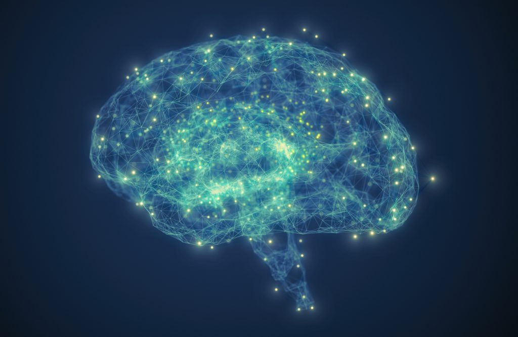 Neue Erkenntnisse über Gehirnneuronen